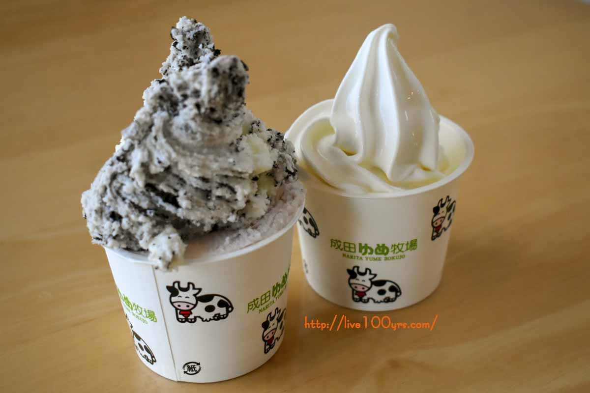 成田ゆめ牧場のアイス専門店ミルキーハウスで購入したジェラートとソフトクリームです